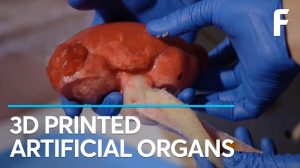 3D printing: to print human organs really?