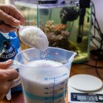 Reef aquarium salt mix being measured for saltwater preparation