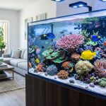 Vibrant saltwater reef aquarium with colorful corals in a bright Florida home